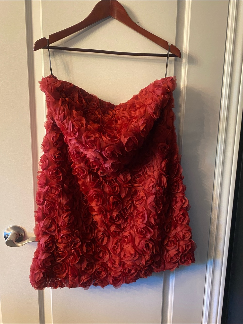 Red Rose Bandeau Mini Dress